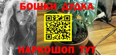 тгк Обь