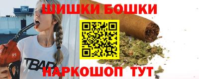 тгк Обь
