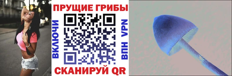 Галлюциногенные грибы Magic Shrooms Рубцовск