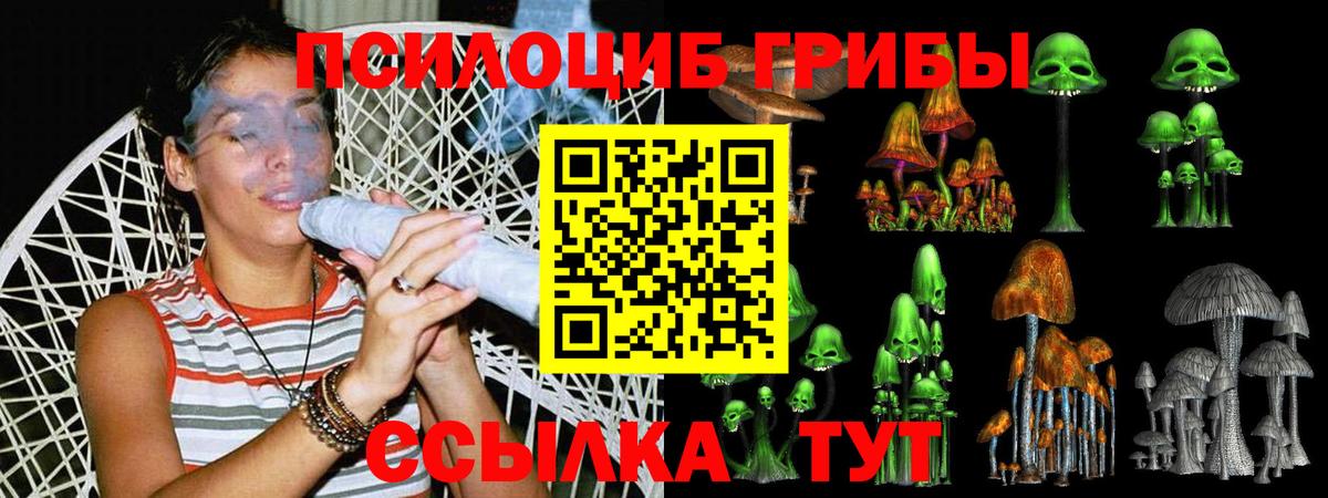 Галлюциногенные грибы мухоморы Рубцовск