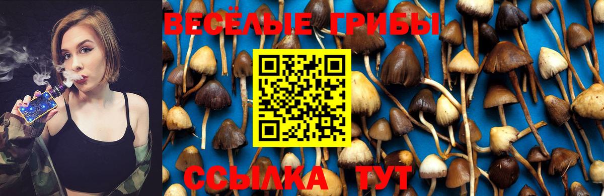 Псилоцибиновые грибы прущие грибы  Галлюциногенные грибы GOLDEN TEACHER  Рубцовск  Вход с VPN 